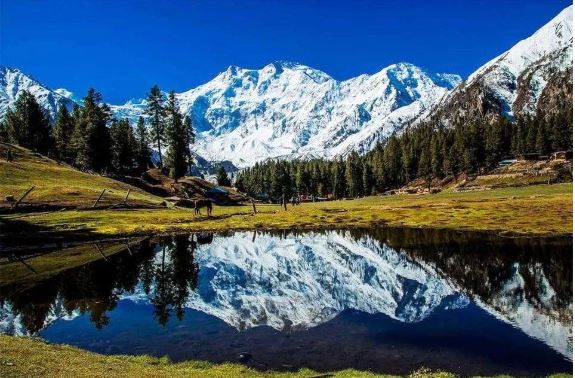 Best Eco-Friendly Places to Visit in Pakistan: Fairy Meadows