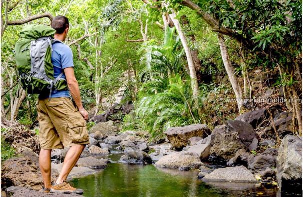 What is the difference between traditional tourism and ecotourism: Ecotourism