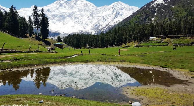 What are the environmental issues in Gilgit-Baltistan? Forests in Gilgit
