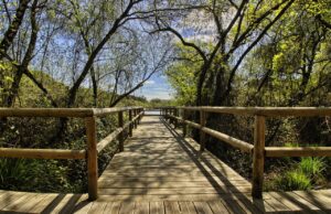 Read more about the article What is the Difference Between Traditional Tourism and Ecotourism? Avoid the Harmful Path in 2025