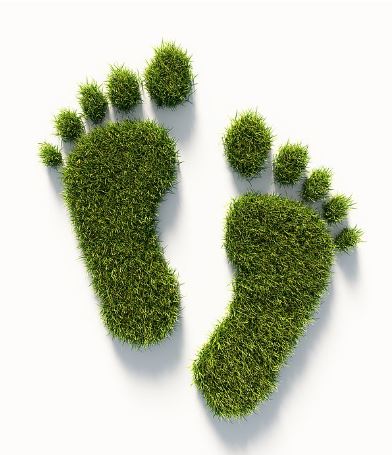 How Does Tourism Increase Climate Change? Footsteps