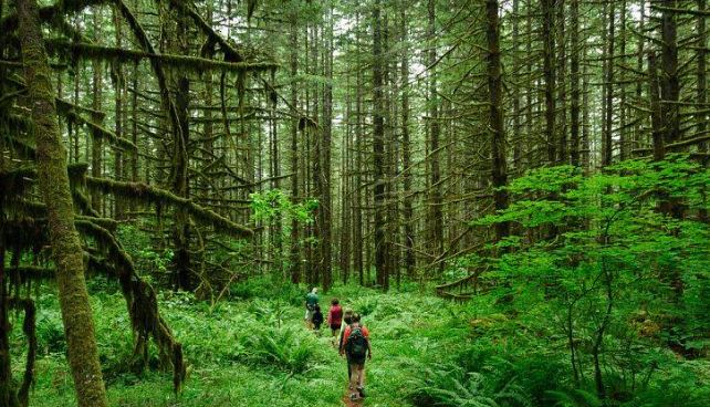 What is the difference between traditional tourism and ecotourism: Difference between ecotourism and traditional tourism