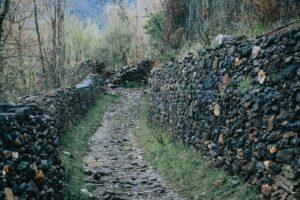 Read more about the article Top Eco-Friendly Hiking Trails in Pakistan Islamabad: Breathtaking Routes for 2025