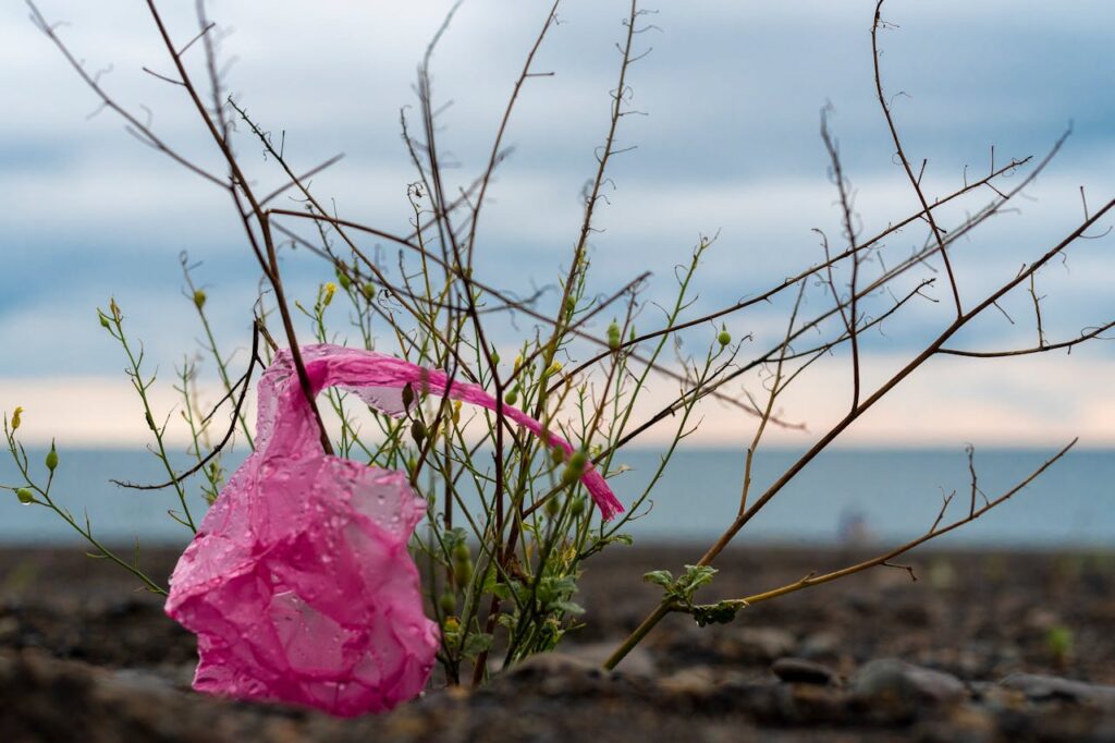 How to Reduce Plastic Waste While Traveling in Pakistan: Plastic bag