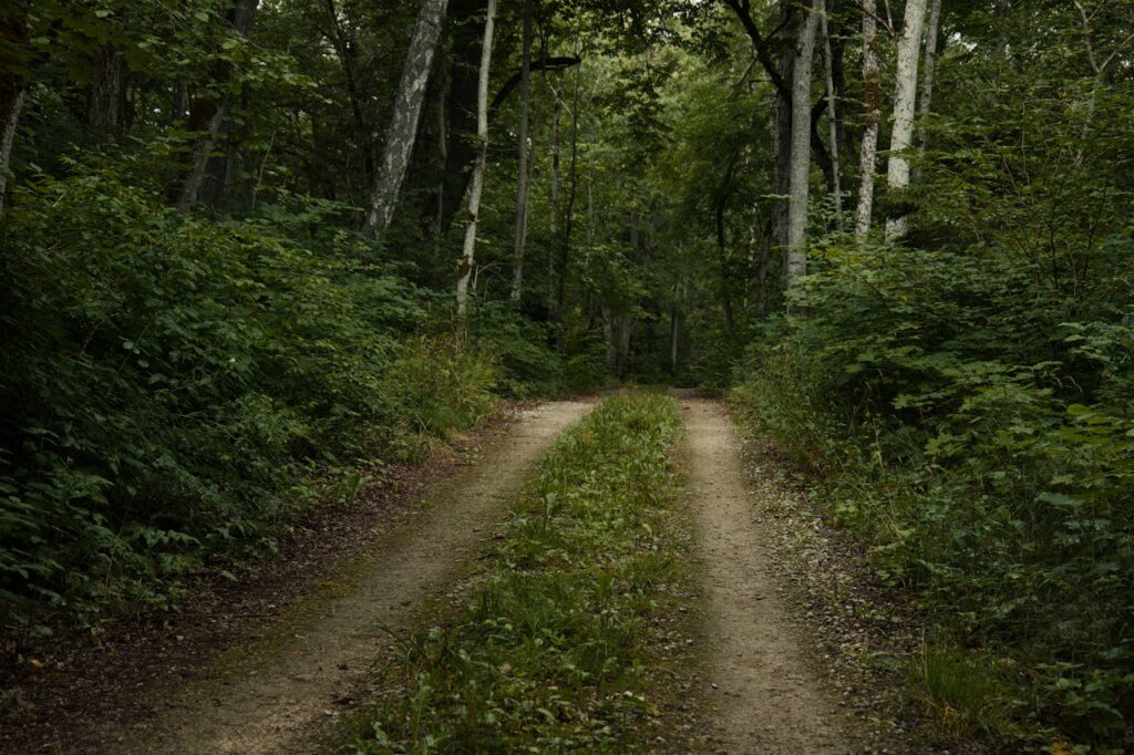 Top Eco-Friendly Hiking Trails in Pakistan Islamabad: Eco-friendly environment