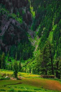 Read more about the article Top 10 Sustainable Travel Destinations in Pakistan You Must Visit – Eco-Friendly Adventures for 2025