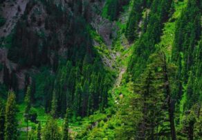 Top 10 Sustainable Travel Destinations in Pakistan You Must Visit – Eco-Friendly Adventures for 2025