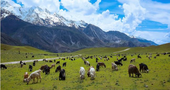 Best eco-friendly accommodations in Pakistan: Chitral Gol National Park